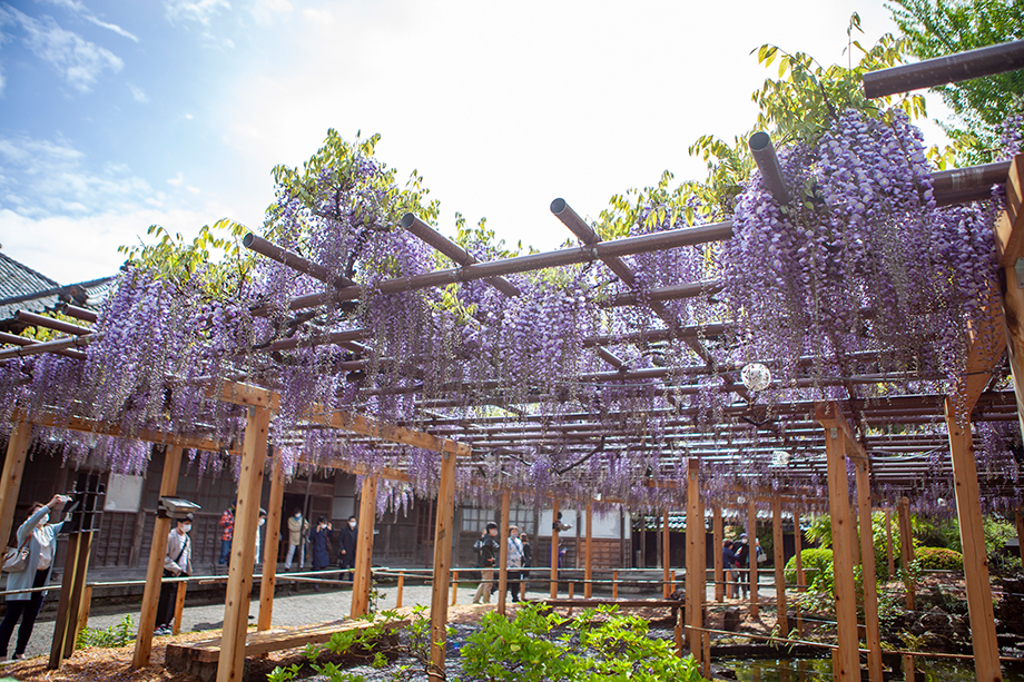 タクミクラフト古民家展